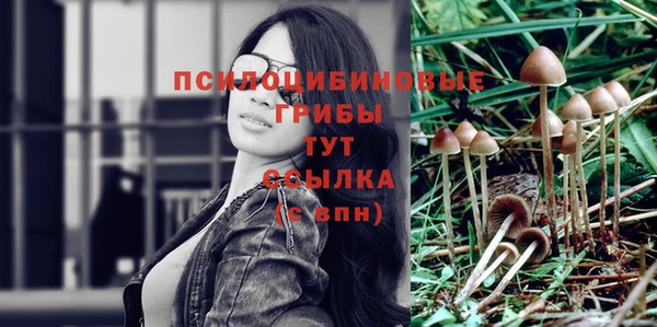 мескалин Балахна