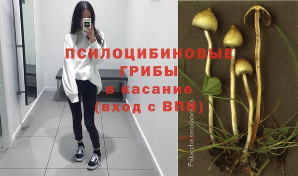 мескалин Балахна