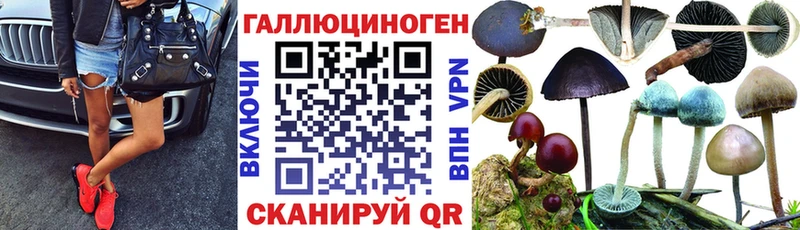 Псилоцибиновые грибы ЛСД  Заречный 