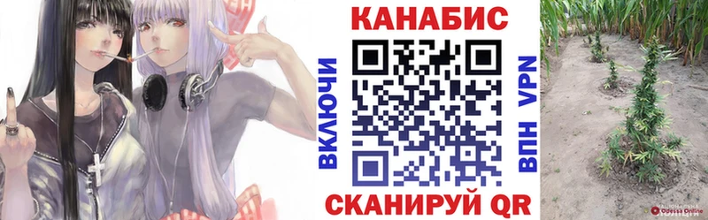 МАРИХУАНА OG Kush где можно купить наркотик Заречный